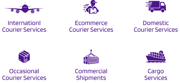 Through Express - Services icons